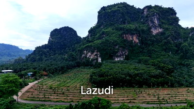 ที่ดิน หาดนพรัตน์ธารา : Expansive Land with Scenic Views in Ao Nang Krabi