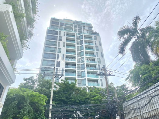 รูป Siamese Surawong - รูปที่ 2/5