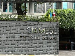 รูป Siamese Thirty Nine - รูปที่ 4/14