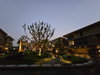listing thumbnail image 40