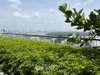 listing thumbnail image 10