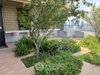 listing thumbnail image 11