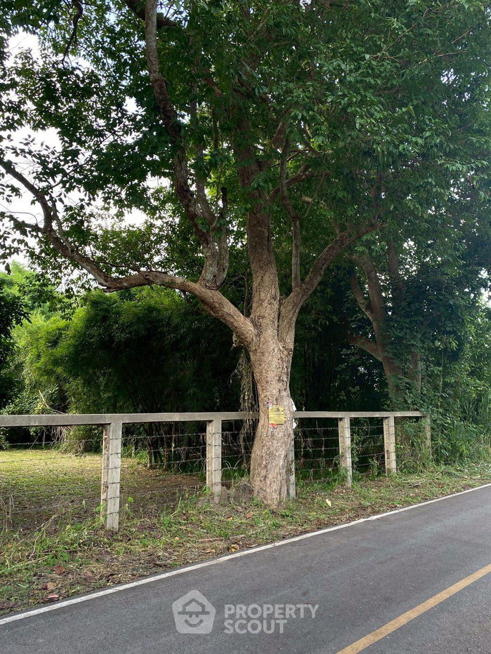 รูป ที่ดินขาย ในดอนแก้ว แม่ริม เชียงใหม่ (ID 2185076) - รูปที่ 2/5