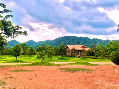 ขายที่ดิน : ขายที่สวนทุเรียน เขาใหญ่ ปากช่อง บ้านสวนผลไม้ คลองม่วง นครราชสีมา ที่ดิน 11 ไร่ พร้อมบ้านไม้เรือนไทย ใกล้ภูเขา วิวเขาสวย  ที่สูงอากาศดี 087-9074045