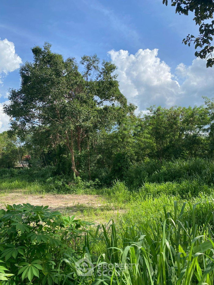 รูป ที่ดินขาย ในดอนแก้ว แม่ริม เชียงใหม่ (ID 2185076) - รูปที่ 4/5