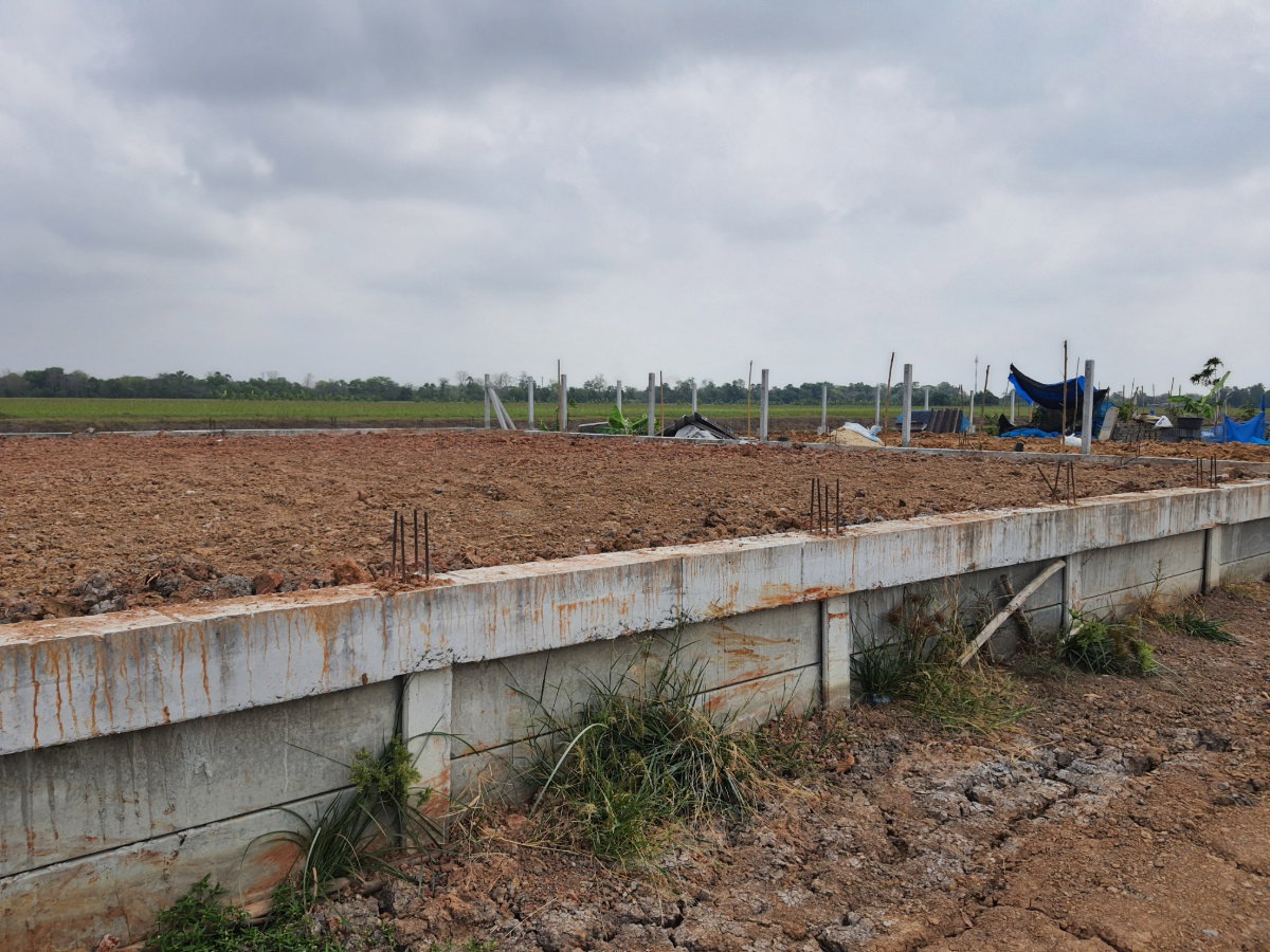 รูป ขายที่ดินถมแล้ว 100 ตร.ว. พร้อมกำแพงล้อมรอบ คลอง 4 คลองหลวง ปทุมธานี ที่ดินสวย ขนาดกำลังดี พร้อมพัฒนา - รูปที่ 1/14