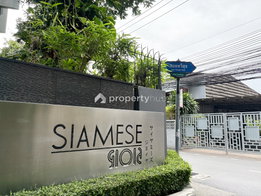 รูป Siamese Gioia - รูปที่ 4/32