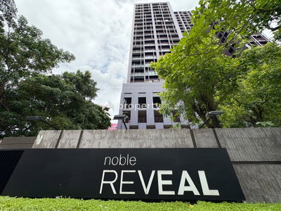 Noble Reveal