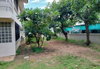 listing thumbnail image 4