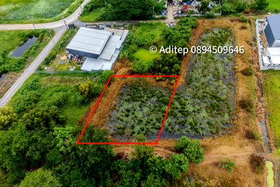 Land for sale Kantana Institte : Urgent sale! Vacant land 317 sq.w. Khlong Yong-Phutthamonthon, good price close to appraisal price, near Mahidol, Salaya
