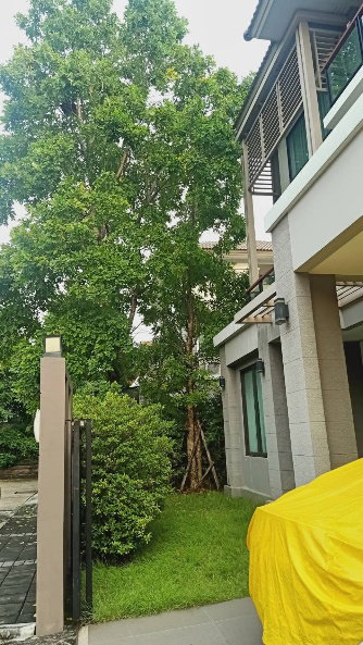 รูป #R5180 ให้เช่าบ้าน Passorn Wongwaen Ramindra - รูปที่ 21/26