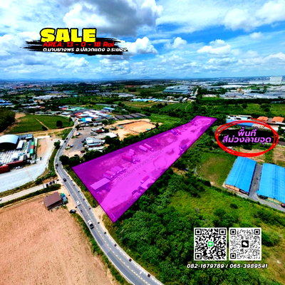 Land for sale ปลวกแดง : Land for sale for industrial purposes (purple dotted area) Rayong Province