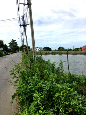 Land for sale Bang Bo Samut Prakarn : Land for Sale: 5 Rai on Main Road, Bang Bo, Samut Prakan 