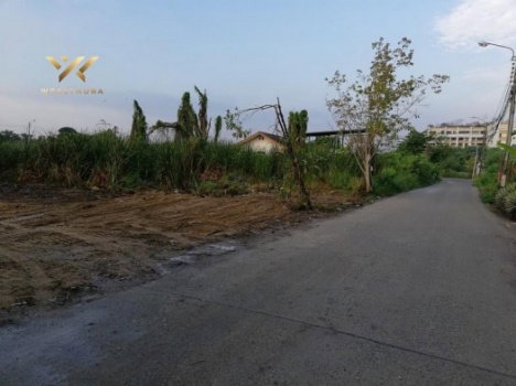 รูป ขาย ที่ดิน นอกหมู่บ้านจัดสรร ไม่ต้องเสียค่าส่วนกลาง ที่ดินศรีนคริน ซอย 45 1 งาน ระยะ 1.2 กม.ถึงสถานีรถไฟฟ้า ศรีนครินทร์ซอย 38 - รูปที่ 6/9