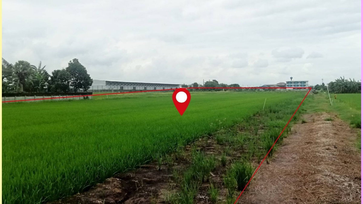 รูป ที่ดินแปลงใหญ่ 3-3-39.4 ไร่ ลำลูกกา คลอง6 หน้ากว้างพิเศษ ใกล้ถนน4เลน ราคาน่าลงทุน - รูปที่ 7/9