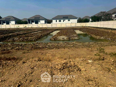 ที่ดิน สนามหลวง : ที่ดินสำหรับขาย บางพรหม เขตตลิ่งชัน กรุงเทพมหานคร (ID 2208339)