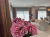 listing thumbnail image 30