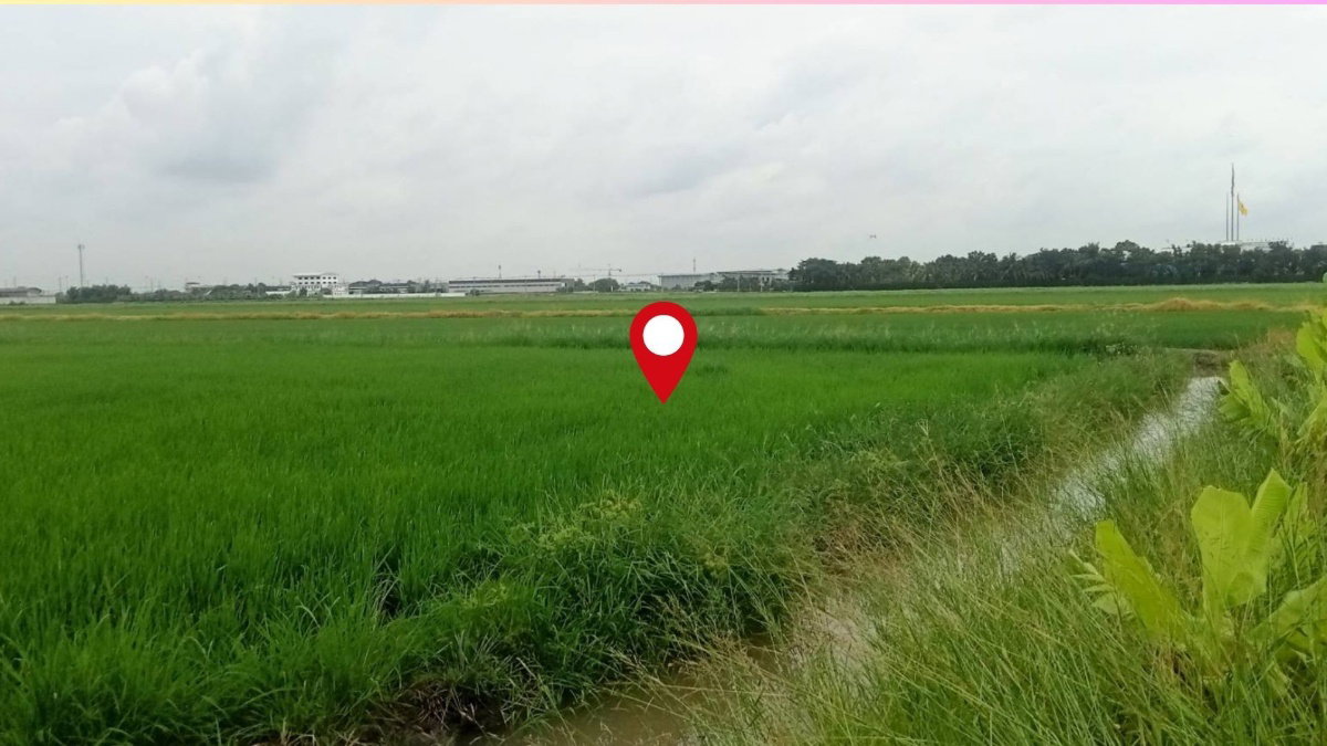 รูป ที่ดินแปลงใหญ่ 3-3-39.4 ไร่ ลำลูกกา คลอง6 หน้ากว้างพิเศษ ใกล้ถนน4เลน ราคาน่าลงทุน - รูปที่ 5/9