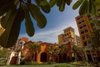 listing thumbnail image 21