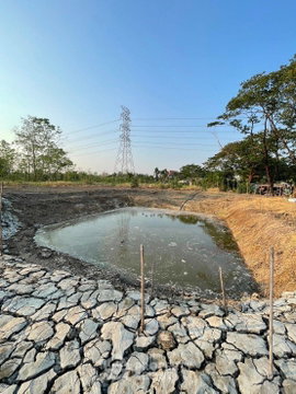 ที่ดิน สำหรับขาย ใน สายกง ดิ้ล ไท เขตคลองสามวา กรุงเทพ (ID 1466407)