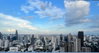 listing thumbnail image 8