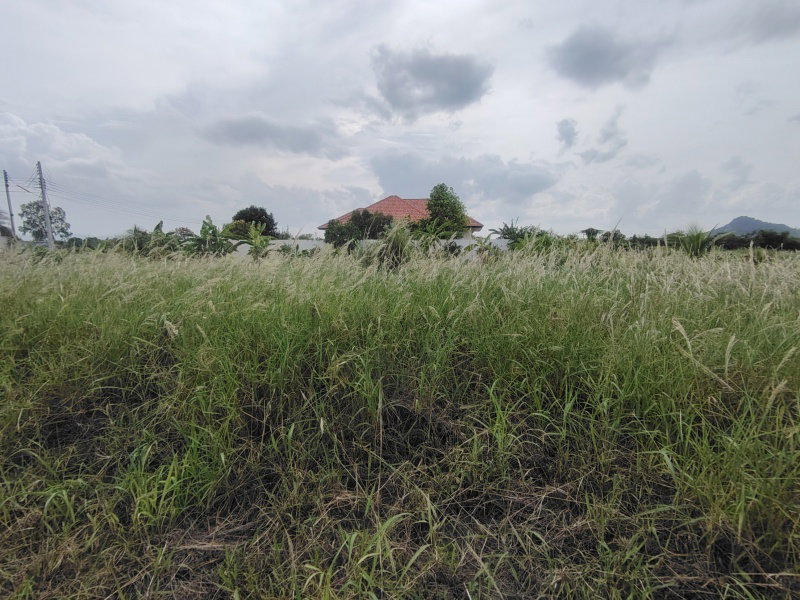 รูป ที่ดินเปล่า 2-3-82 ไร่  เหมาะกับการทำบ้านพักอาศัย  อยู่ในพื้นที่ที่มีโครงการก่อสร้างที่พักอาศัยกำลังพัฒนาอย่างรวดเร็ว! - รูปที่ 5/11