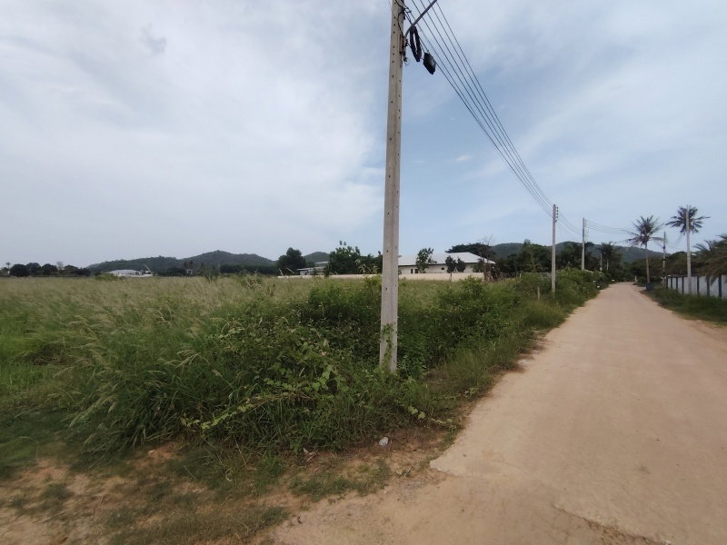 รูป ที่ดินเปล่า 2-3-82 ไร่  เหมาะกับการทำบ้านพักอาศัย  อยู่ในพื้นที่ที่มีโครงการก่อสร้างที่พักอาศัยกำลังพัฒนาอย่างรวดเร็ว! - รูปที่ 3/11