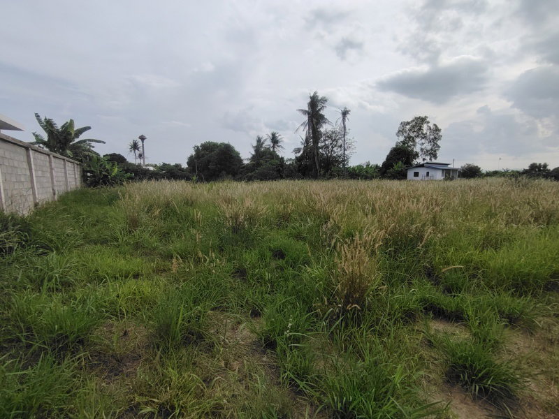รูป ขายที่ดิน 4 ไร่ ที่ดินจัดสรรเพื่อพัฒนาที่อยู่อาศัย ในย่านที่กำลังพัฒนาอย่างรวดเร็ว! - รูปที่ 7/14