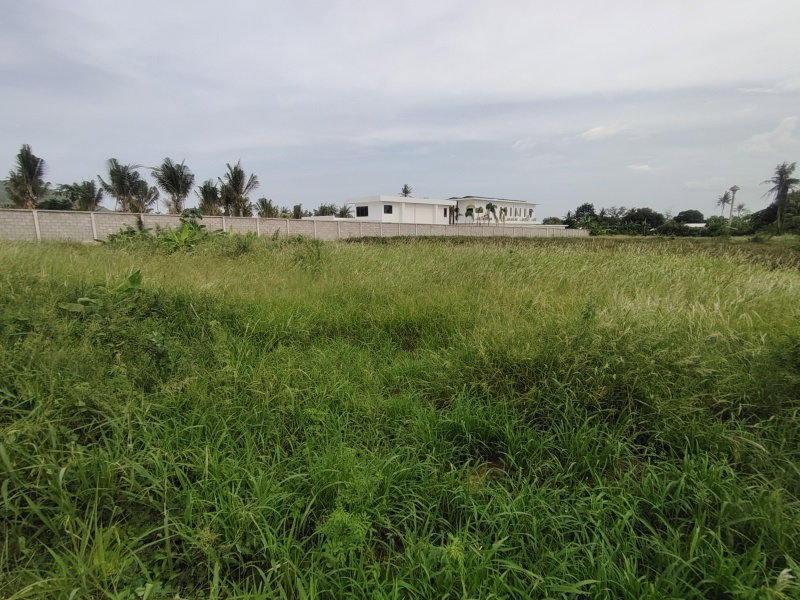 รูป ขายที่ดิน 4 ไร่ ที่ดินจัดสรรเพื่อพัฒนาที่อยู่อาศัย ในย่านที่กำลังพัฒนาอย่างรวดเร็ว! - รูปที่ 2/14