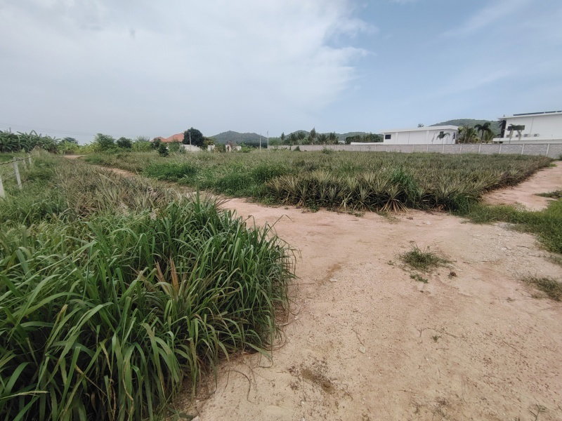 รูป ขายที่ดิน 4 ไร่ ที่ดินจัดสรรเพื่อพัฒนาที่อยู่อาศัย ในย่านที่กำลังพัฒนาอย่างรวดเร็ว! - รูปที่ 5/14