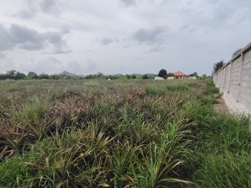 รูป ขายที่ดิน 4 ไร่ ที่ดินจัดสรรเพื่อพัฒนาที่อยู่อาศัย ในย่านที่กำลังพัฒนาอย่างรวดเร็ว! - รูปที่ 8/14