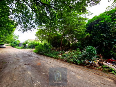 ที่ดิน ทรู ดิจิทัล พาร์ค : ขาย ที่ดินเปล่า 145 ตร.วา ซ.ปุณณวิถี 43 สุขุมวิท 101 ถนนกว้าง แปลงสี่เหลี่ยม