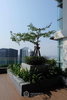 listing thumbnail image 10