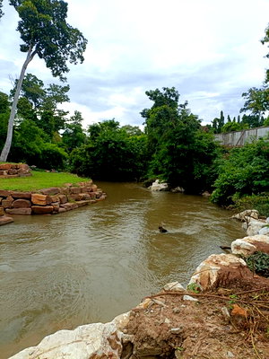 ขายที่ดิน : ขายที่ดินติดน้ำลำตะคอง เขาใหญ่ หมูสี ปากช่อง 10 ไร่ ที่ดินติดน้ำสวยมาก บ้านท่าช้าง น้ำผุดธรรมชาติ ใกล้ถนนธนะรัชต์ ตลาดนัด ร้านค้า คีรีมายา