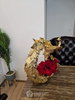 listing thumbnail image 29