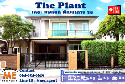 บ้านเดี่ยวให้เช่า : ให้เช่า บ้านเดี่ยว เดอะ แพลนท์ พัฒนาการ38  เฟอร์นิเจอร์ครบ เดินทางสะดวก ใกล้สุขุมวิท Tel 064-954-9619 (RBH13-55)