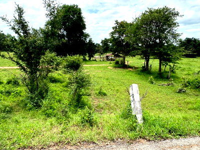 Land for sale Phetchabun : Land for Sale: 24 Rai in Nam Chun, Lom Sak , Phetchabun  , ideal for housing development projects, resorts, large-scale farming, or vacation homes.