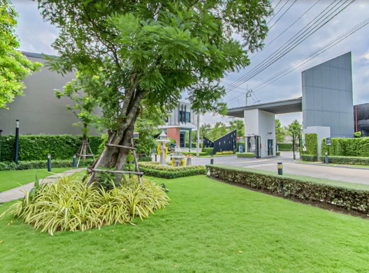 Project Verve Phet Kasem 81-2 Picture - 3/17