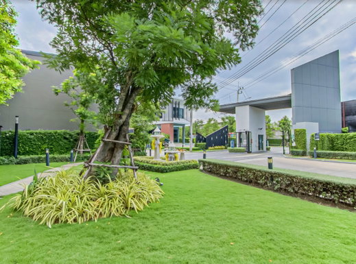 Project Verve Phet Kasem 81-2 Picture - 3/17