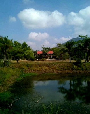 ขายที่ดิน : ขายที่วิวเขายายเที่ยง 52 ไร่ ที่ดินสวนเกษตรผสมผสาน ขายถูกไร่ละ 830,000 วังไทร เขาใหญ่ ปากช่อง ที่โฉนดมือแรก ที่ติดคลองน้ำธรรมชาติ ที่สวย 0879074045