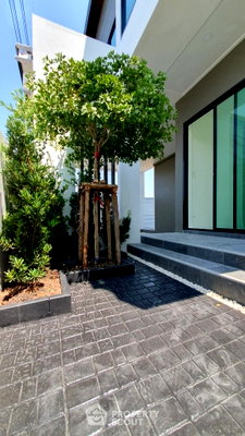 บ้านเดี่ยว มาร์เก็ต วิลเลจ สุวรรณภูมิ : บ้าน 4 ห้องนอน ขาย บ้านทนพอล พร็อพเพอร์ตี้ ใกล้บางพลีใหญ่ จังหวัดสมุทรปราการ (ID 2231373)