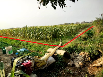 Land for sale Sung Men Phrae : sale.................................................