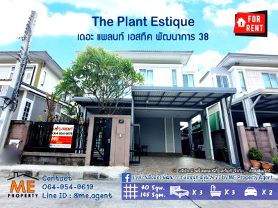 เช่าบ้านเดี่ยว ทรู ทาวเวอร์ พัฒนาการ : ปล่อยให้เช่า เดอะ แพลนท์ เอสทีค พัฒนาการ 38 บ้านเดี่ยว 3 ห้องนอน พร้อมเฟอร์นิเจอร์ พร้อมเข้าอยู่  โทร.064-954-9619 (RBE12-40)