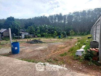 ที่ดิน ถลาง ภูเก็ต : ขายที่ดินเปล่า ในศรีสุนทร ถลาง ภูเก็ต (ID 2242773)