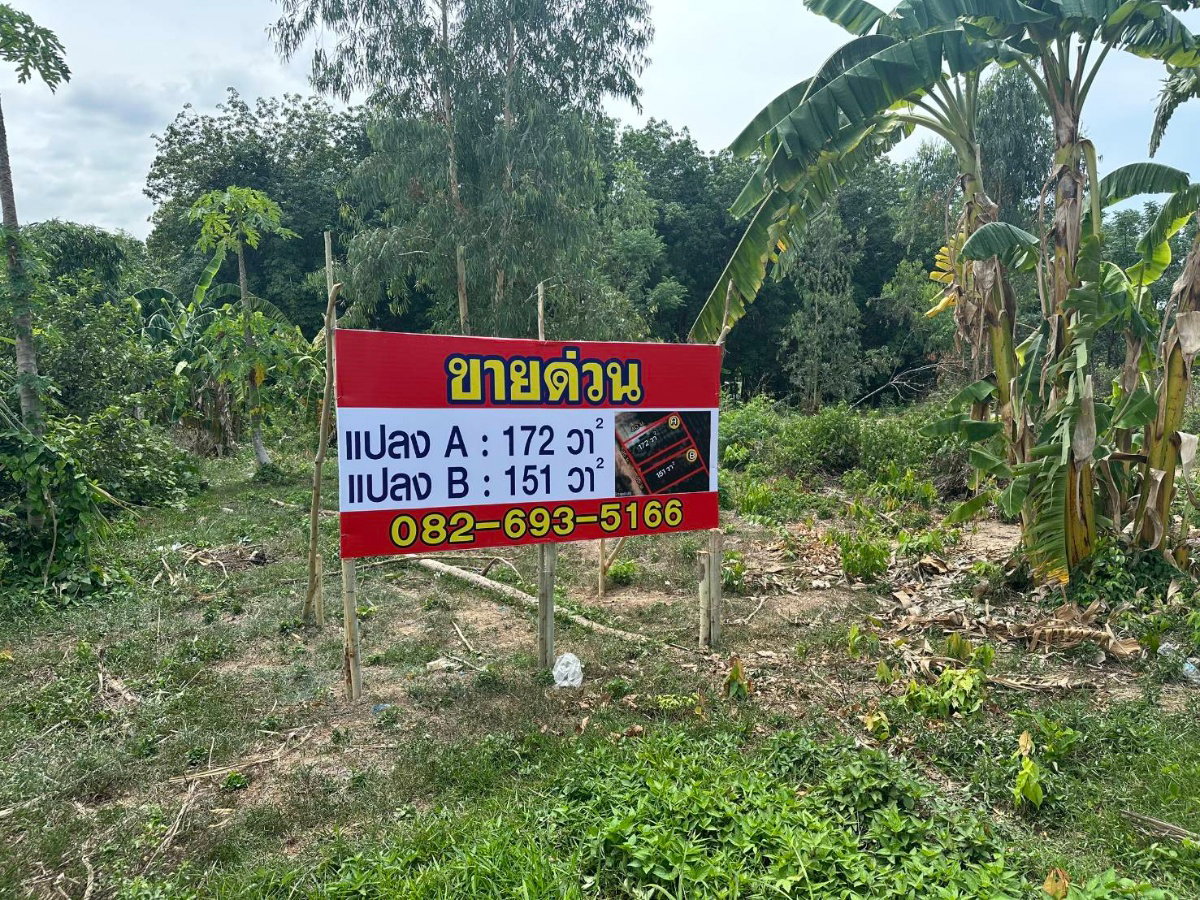 รูป ที่ดิน แปลงสวย 323 วา2 ใกล้หินสามวาฬ จ.บึงกาฬ เลียบถนนชยางกูร  - รูปที่ 2/5
