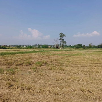 ขายที่ดินบึง ศรีราชา แปลงสวย ทำเลดี พื้นที่สีส้ม 