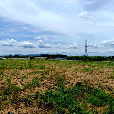 Land for sale ปลวกแดง : Land for sale in Map Yang Phon, Plaeng Daeng, Rayong. Beautiful plot, good price.