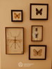 listing thumbnail image 18