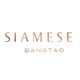 project-siamese-bangtao-image-alt