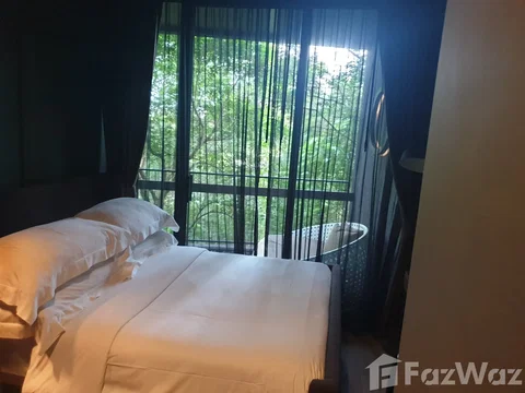 Infinite Comfort Awaits: Saturdays Residence, Phuket 1121158